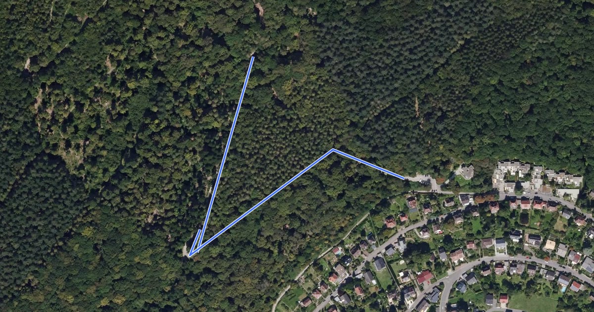 Маршрут Rundwanderweg Büdel-Ebert-Heim 6: Fischerschlag-Weg на спутниковом снимке