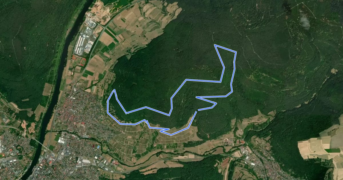 Маршрут Rundwanderweg Bürgstadt, PP Stutz Nr. 4 - Eichenbuckelweg на спутниковом снимке
