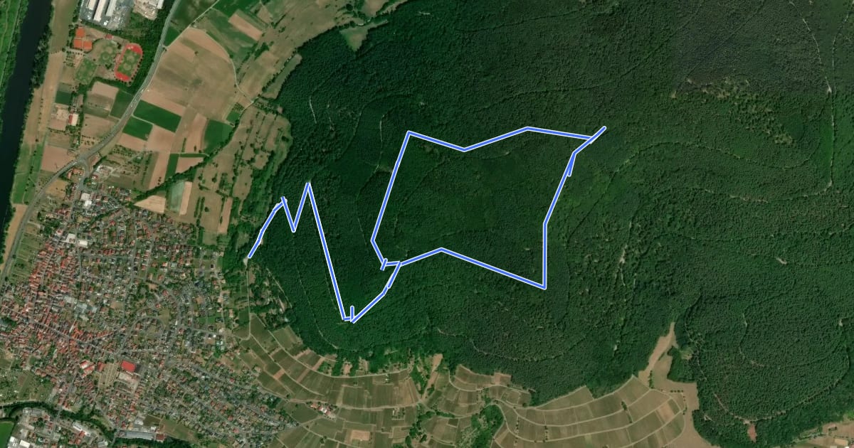 Маршрут Rundwanderweg Bürgstadt Stutz 3: Ringwall-Weg на спутниковом снимке