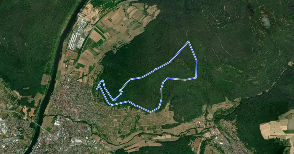 Маршрут Rundwanderweg Bürgstadt Stutz 6: Wannenberg-Weg на спутниковом снимке