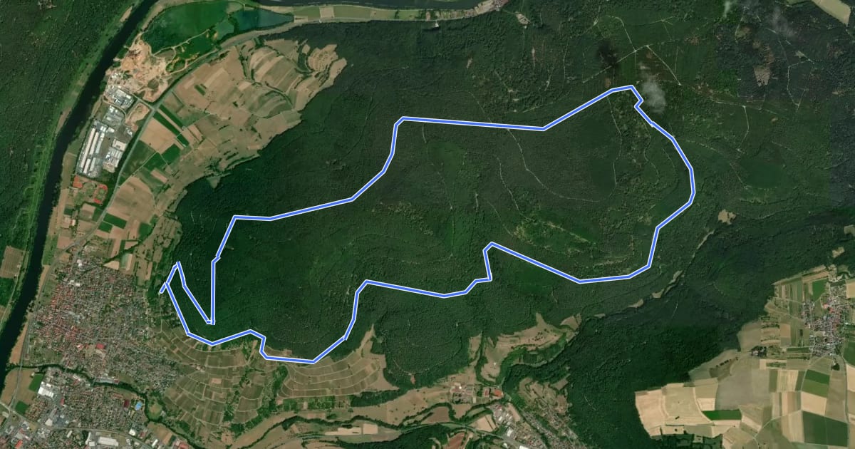 Маршрут Rundwanderweg Bürgstadt Stutz 7: Rund um den Wannenberg на спутниковом снимке