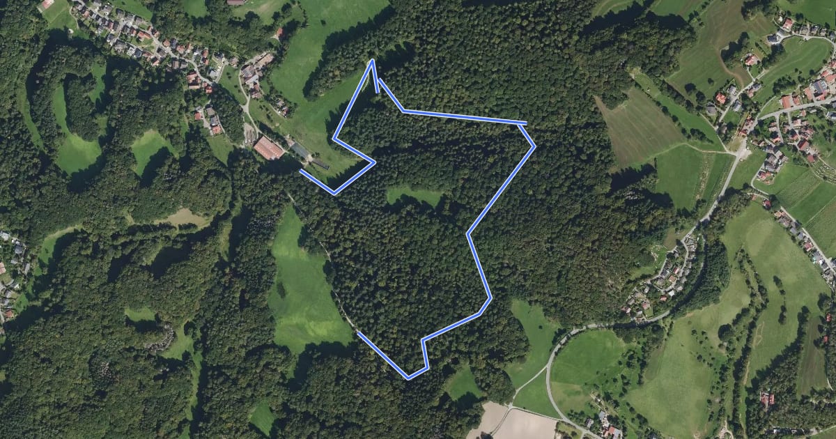 Маршрут Rundwanderweg Bärsbacher Weg 1: Galgenbusch-Weg на спутниковом снимке
