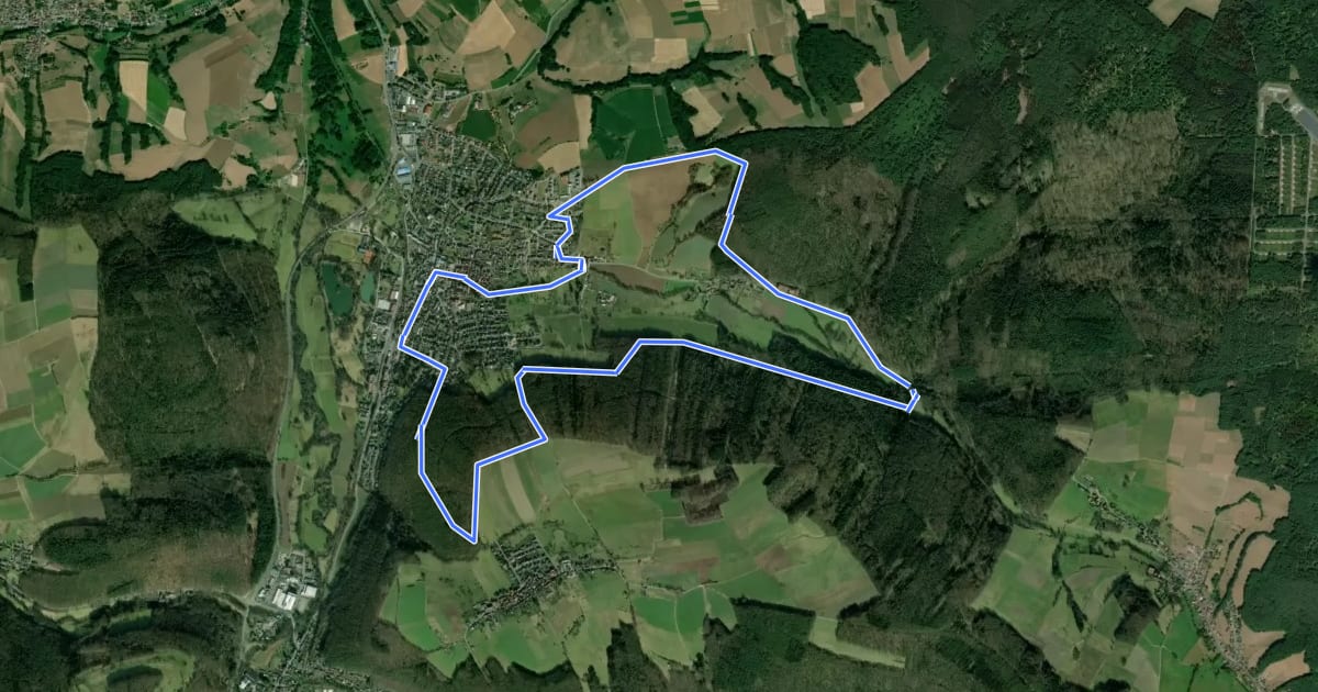 Маршрут Rundwanderweg Bad-König 2: Carl-Weyprecht-Wanderweg на спутниковом снимке