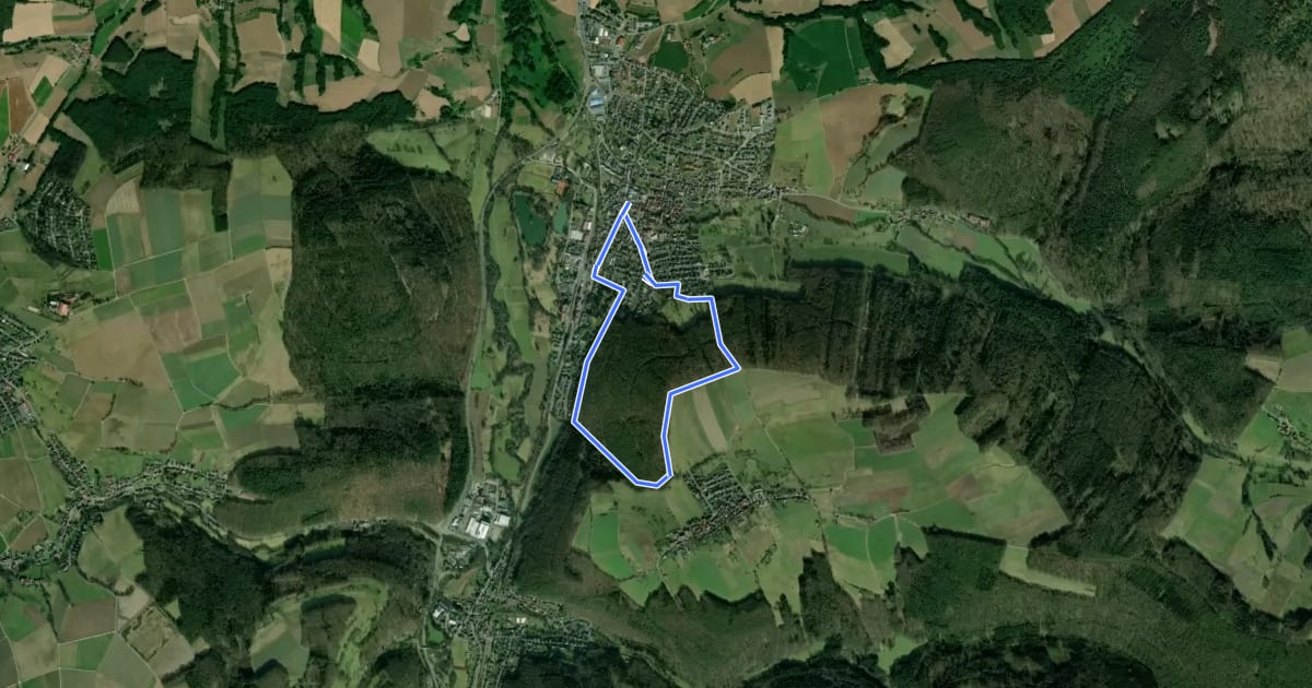 Маршрут Rundwanderweg Bad König 5: Weyprecht-Tempel-Weg на спутниковом снимке