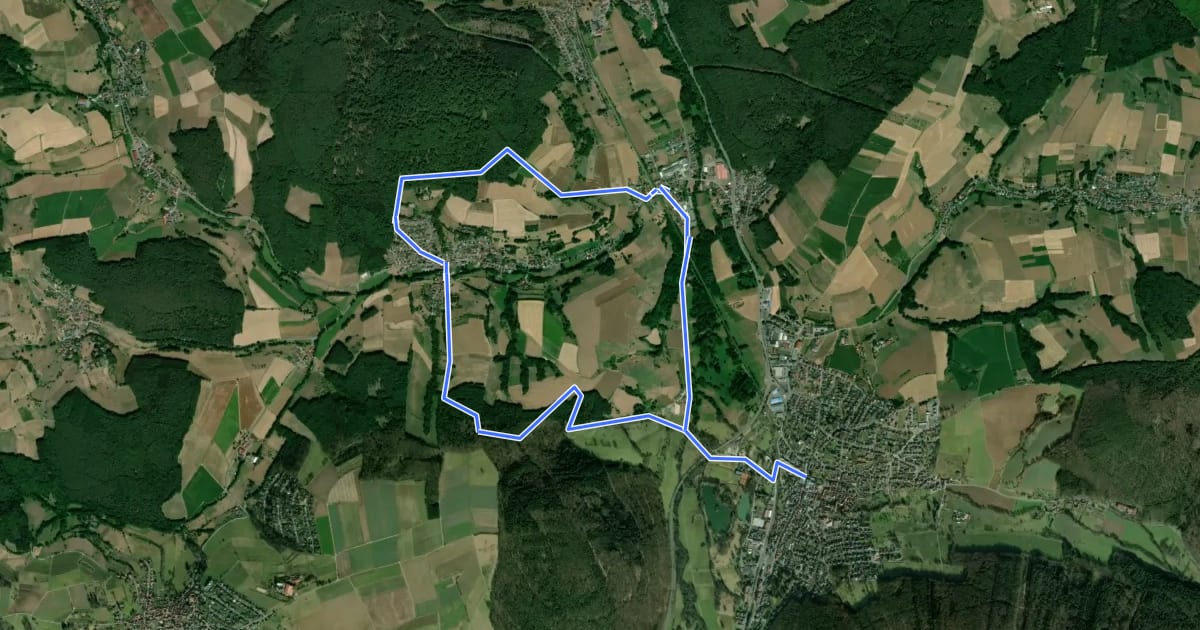 Маршрут Rundwanderweg Bad König 8 : Kinzigtal-Weg на спутниковом снимке
