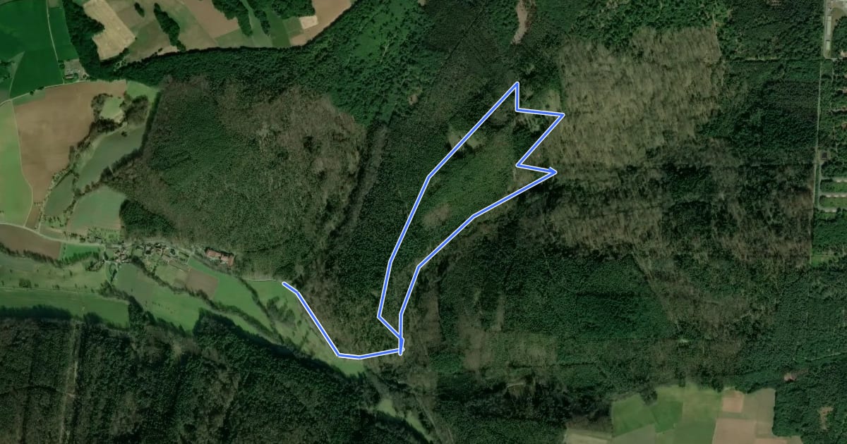 Маршрут Rundwanderweg Bad König Erlenbrunnen 2: Eckertsberg-Weg на спутниковом снимке