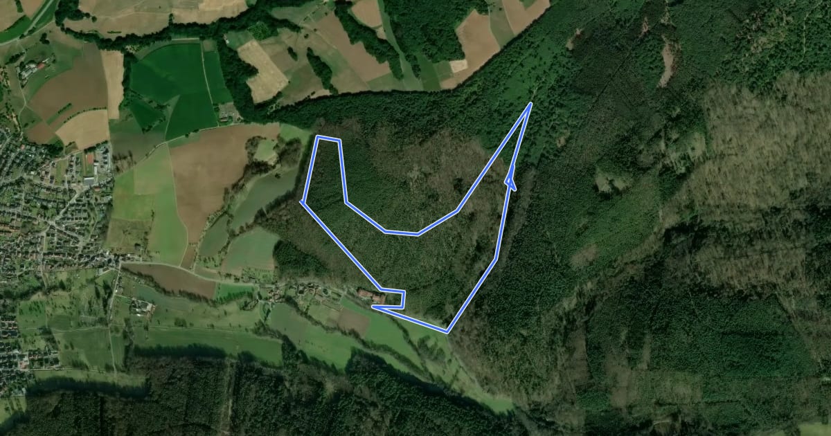 Маршрут Rundwanderweg Bad König Erlenbrunnen 3: Grohberg-Weg на спутниковом снимке