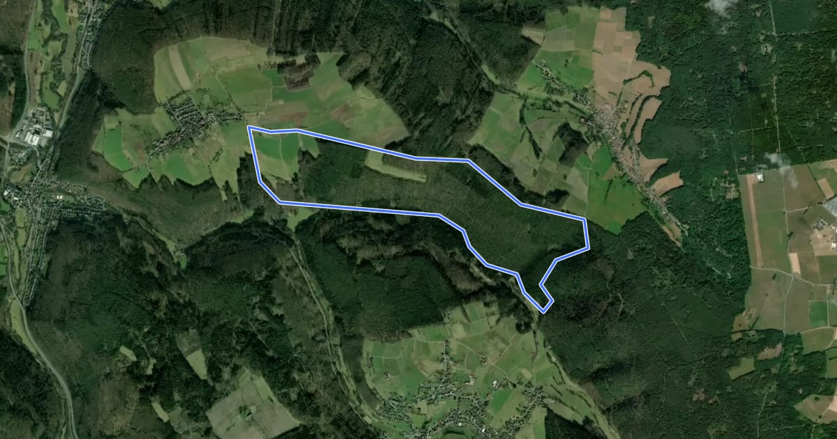 Маршрут Rundwanderweg Bad König Momarter Eiche 3: Alter Momart-Weg на спутниковом снимке