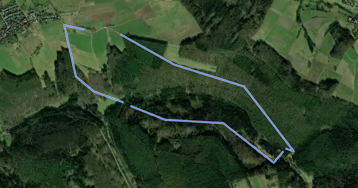 Маршрут Rundwanderweg Bad König Momarter Eiche 5: Momarter-Eiche-Weg на спутниковом снимке