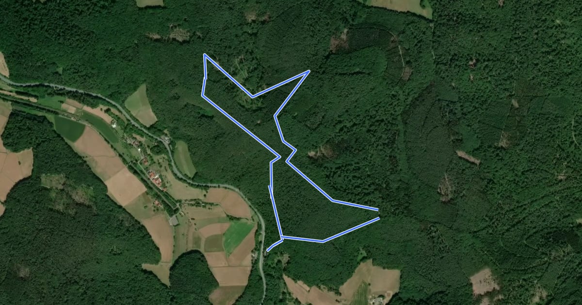 Маршрут Rundwanderweg Bad König Rondell 3: Burzelberg-Weg на спутниковом снимке