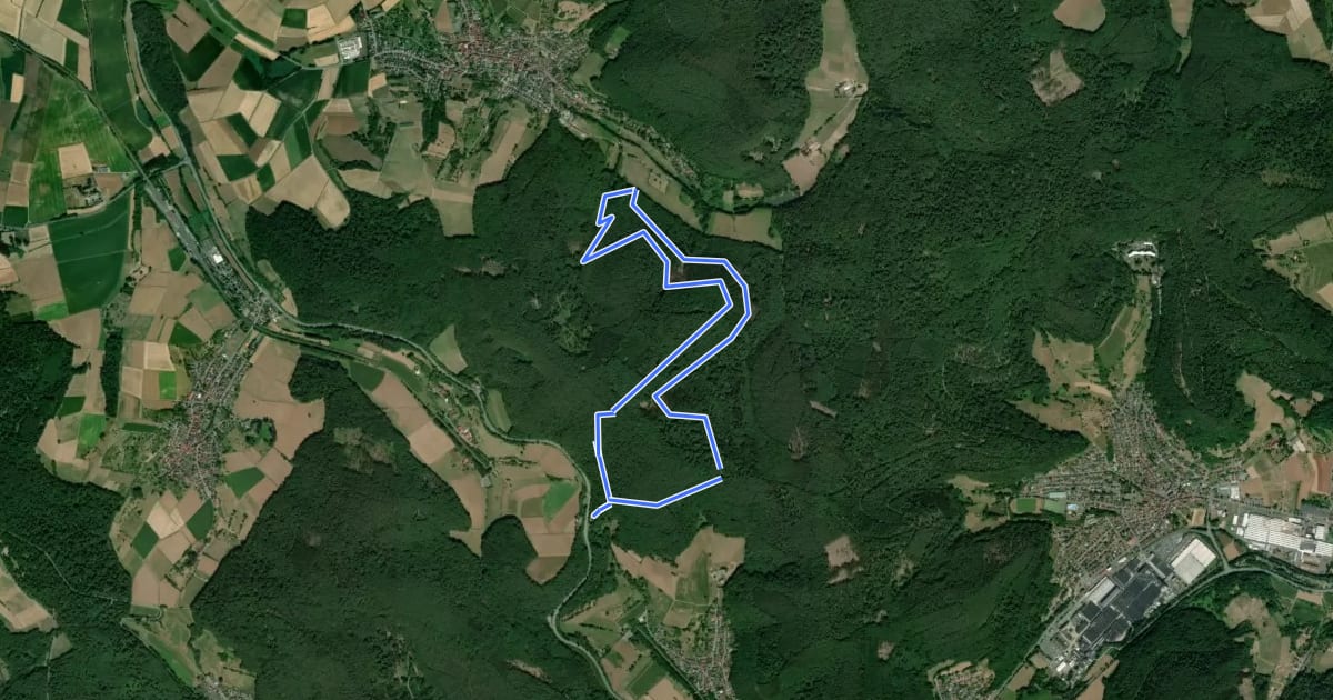 Маршрут Rundwanderweg Bad König Rondell 4: Königskopf-Weg на спутниковом снимке