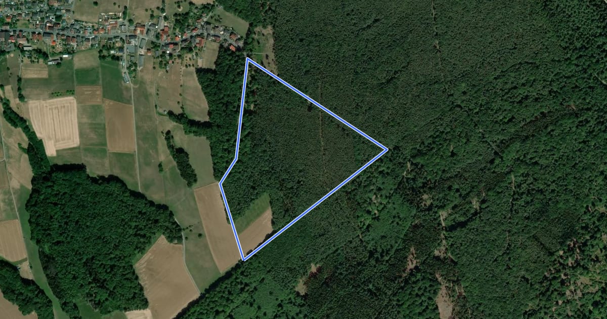 Маршрут Rundwanderweg Bad König Saubusch 4: Saubusch-Weg на спутниковом снимке