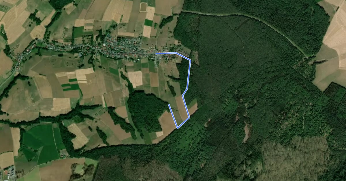 Маршрут Rundwanderweg Bad König Saubusch 5: Panorama-Weg на спутниковом снимке