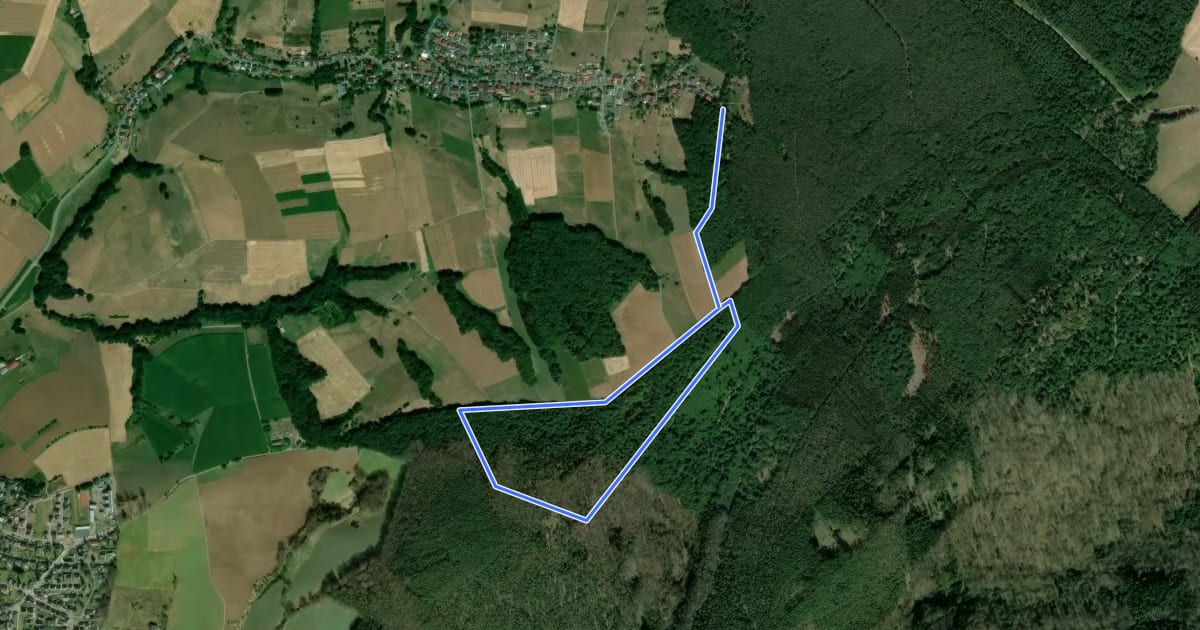 Маршрут Rundwanderweg Bad König Saubusch 8: Grohberg-Weg на спутниковом снимке