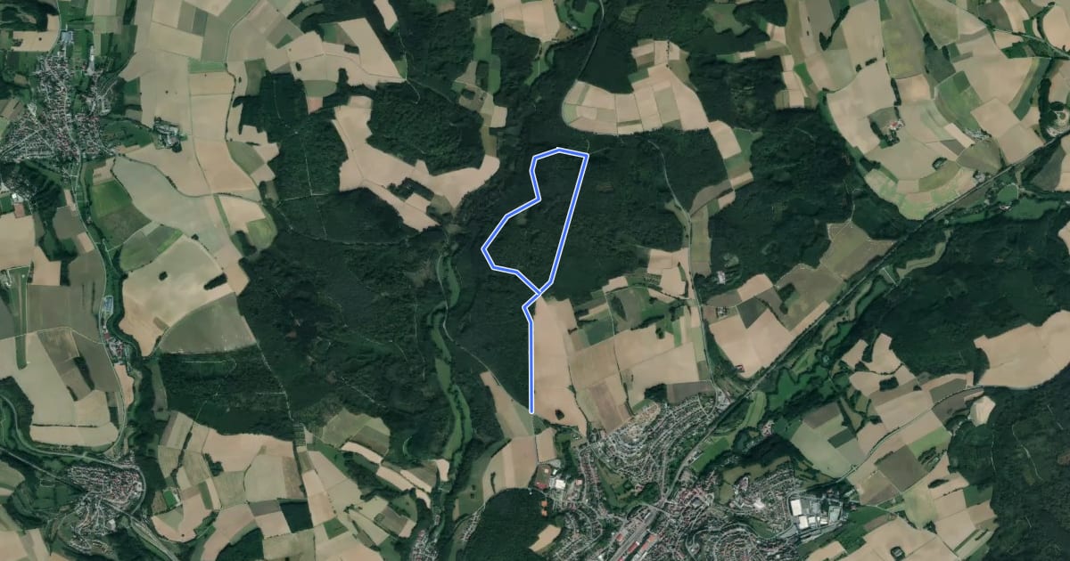 Маршрут Rundwanderweg Barnholz 1: Barnholz-Weg на спутниковом снимке