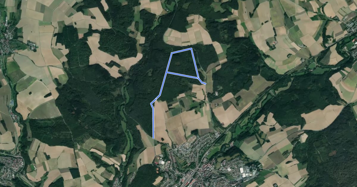 Маршрут Rundwanderweg Barnholz 3: Grenzwall-Weg на спутниковом снимке