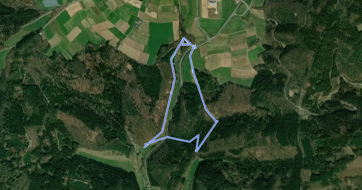 Маршрут Rundwanderweg Beerfelden Gänsbuckel 1 : Bannholz-Weg на спутниковом снимке