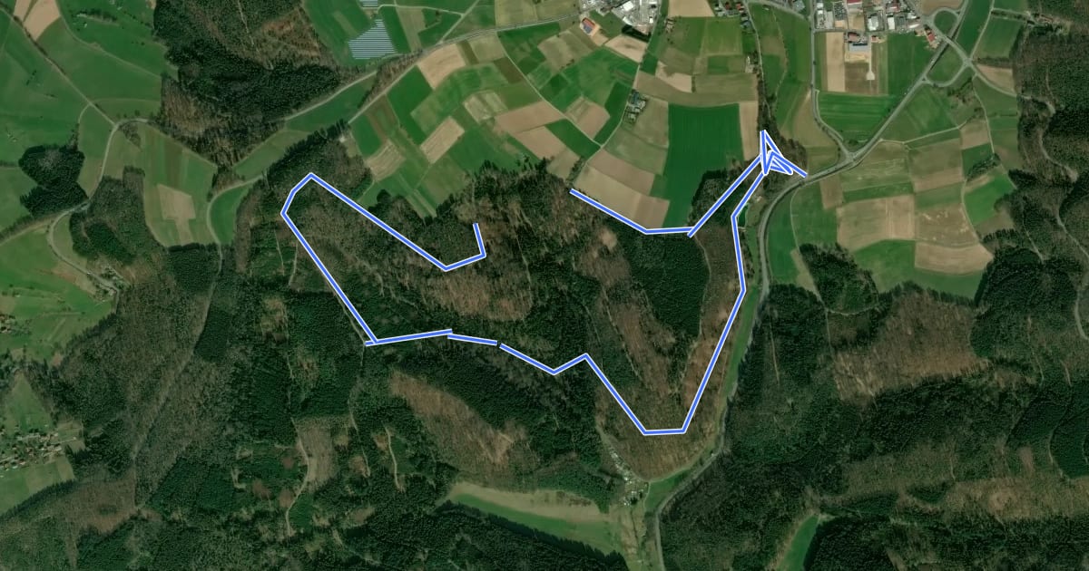 Маршрут Rundwanderweg Beerfelden Gänsbuckel 2 : Ameisenbuckel-Weg на спутниковом снимке