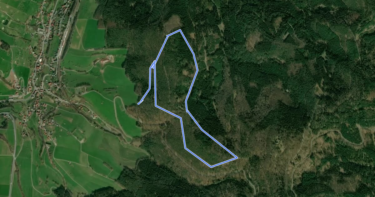 Маршрут Rundwanderweg Beerfelden Hasenhöhe 1: Güterberg-Weg на спутниковом снимке