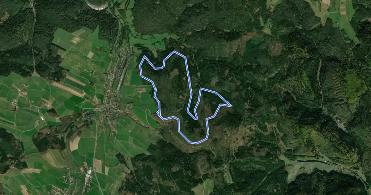 Маршрут Rundwanderweg Beerfelden Hasenhöhe 2: Hetzbacher-Wald-Weg на спутниковом снимке