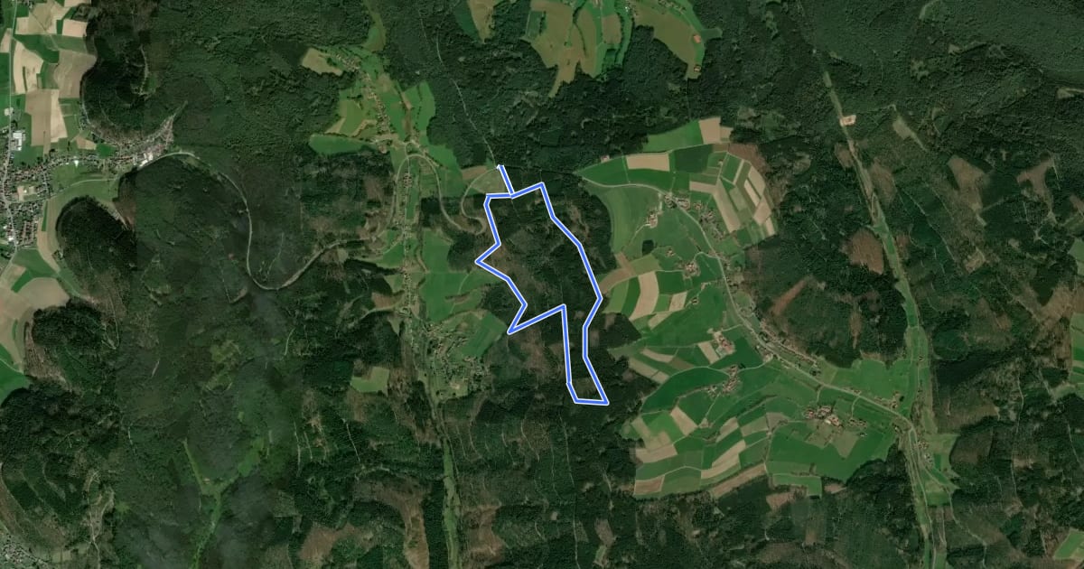 Маршрут Rundwanderweg Beerfelden Olfener Höhe 2: Hirschweg на спутниковом снимке