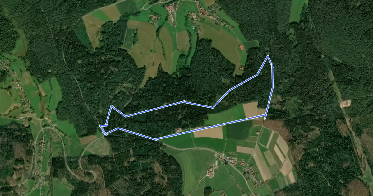 Маршрут Rundwanderweg Beerfelden Olfener Höhe 3: Oberer Schweinsgrubenweg на спутниковом снимке