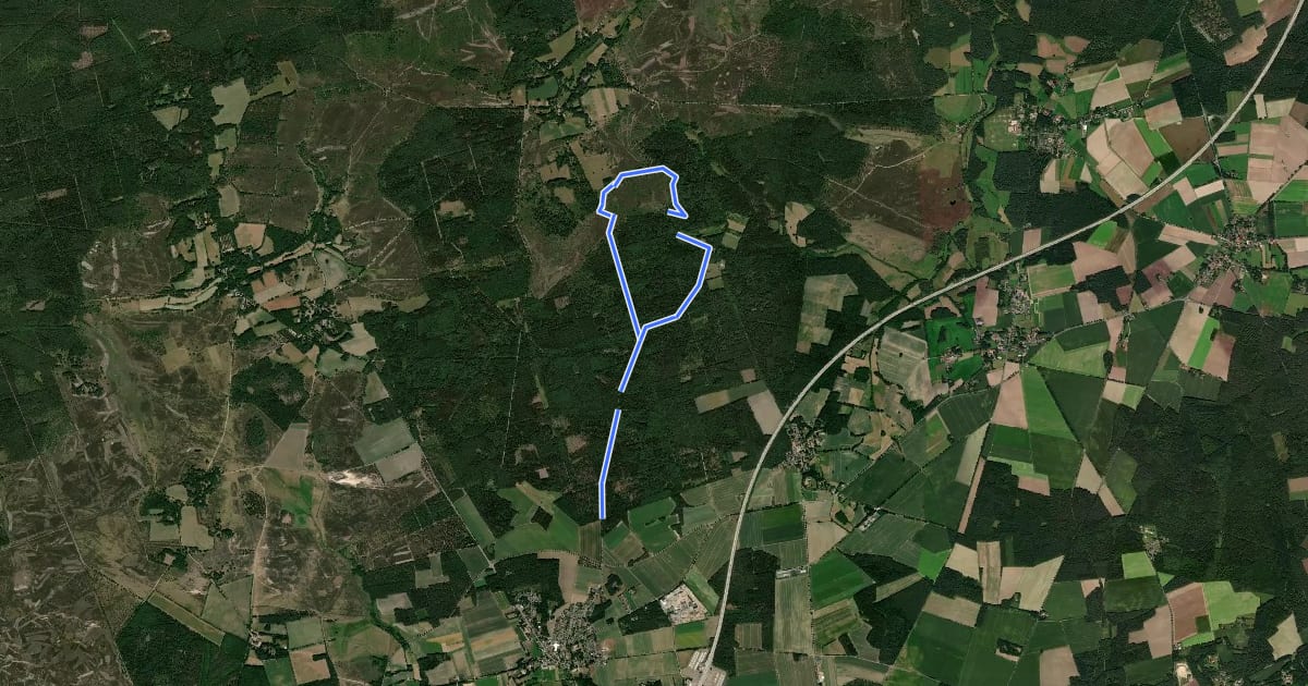 Маршрут Rundwanderweg Behringen B1 на спутниковом снимке