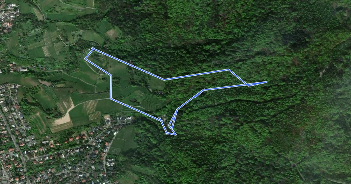 Маршрут Rundwanderweg Bensheim Am Höllberg 1: Höllberg-Weg на спутниковом снимке
