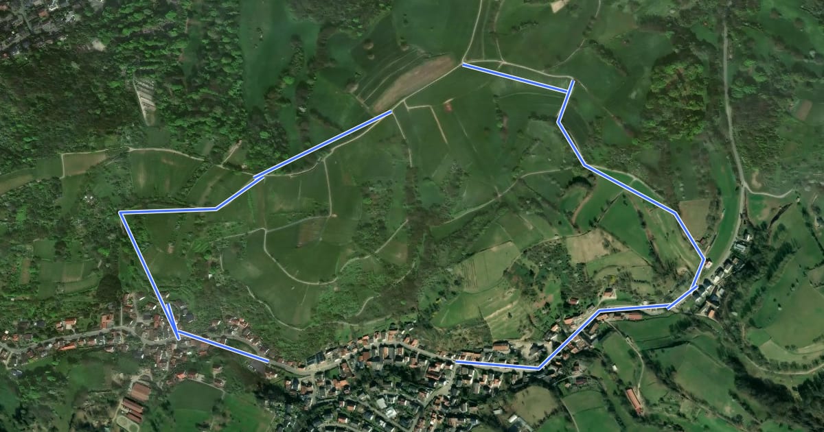 Маршрут Rundwanderweg Bensheim Bordmühle 1: Zeller-Weg на спутниковом снимке