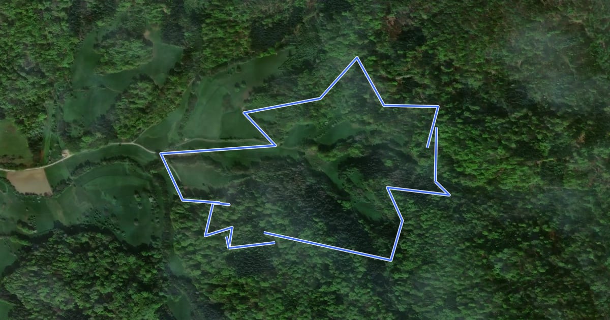 Маршрут Rundwanderweg Bensheim Märkerwald 1: Franksteinweg на спутниковом снимке