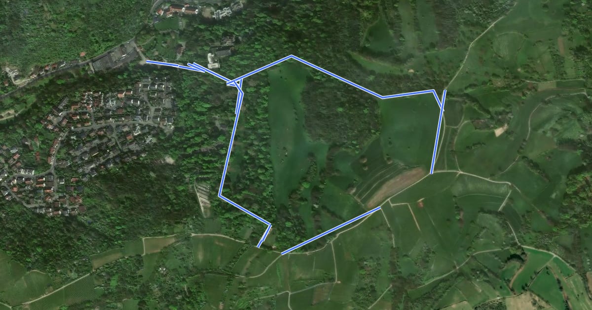 Маршрут Rundwanderweg Bensheim Schönhof 2: Baßmann-Weg на спутниковом снимке