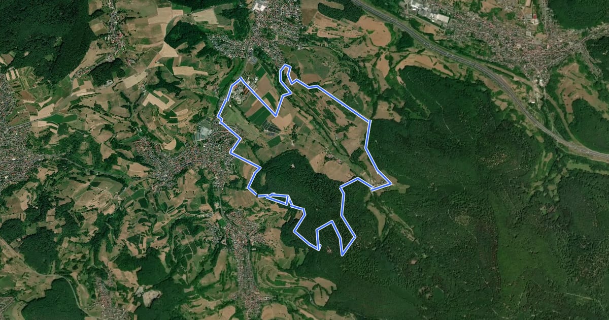 Маршрут Rundwanderweg Bessenbach 1 на спутниковом снимке