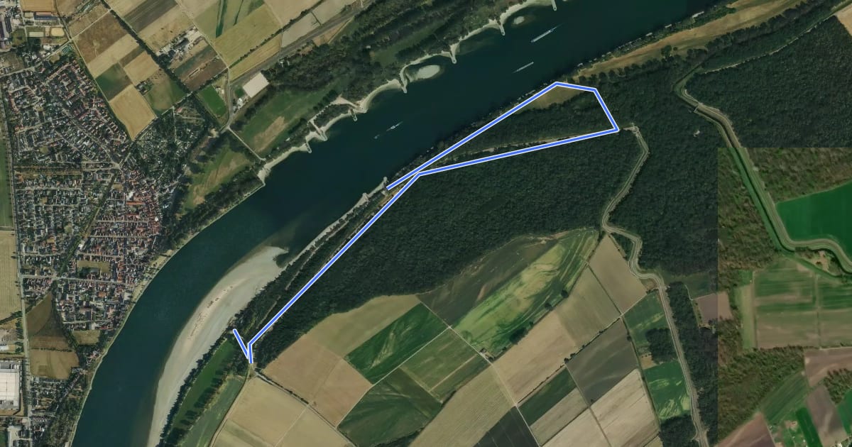 Маршрут Rundwanderweg Biblis Steiner Wald 1: Züllenstein-Weg на спутниковом снимке