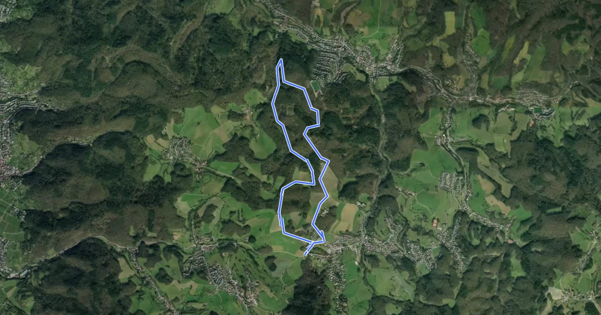 Маршрут Rundwanderweg Bildstock 3 на спутниковом снимке