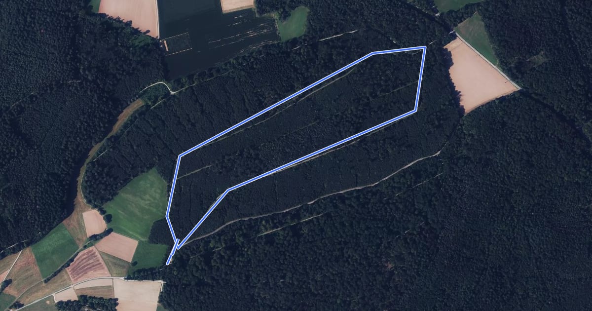 Маршрут Rundwanderweg Binauer Forst 2: Wimmersbach-Weg на спутниковом снимке