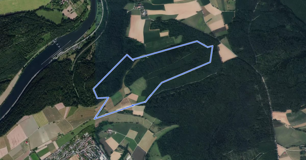 Маршрут Rundwanderweg Binauer Forst 3: Rotenberg-Weg на спутниковом снимке