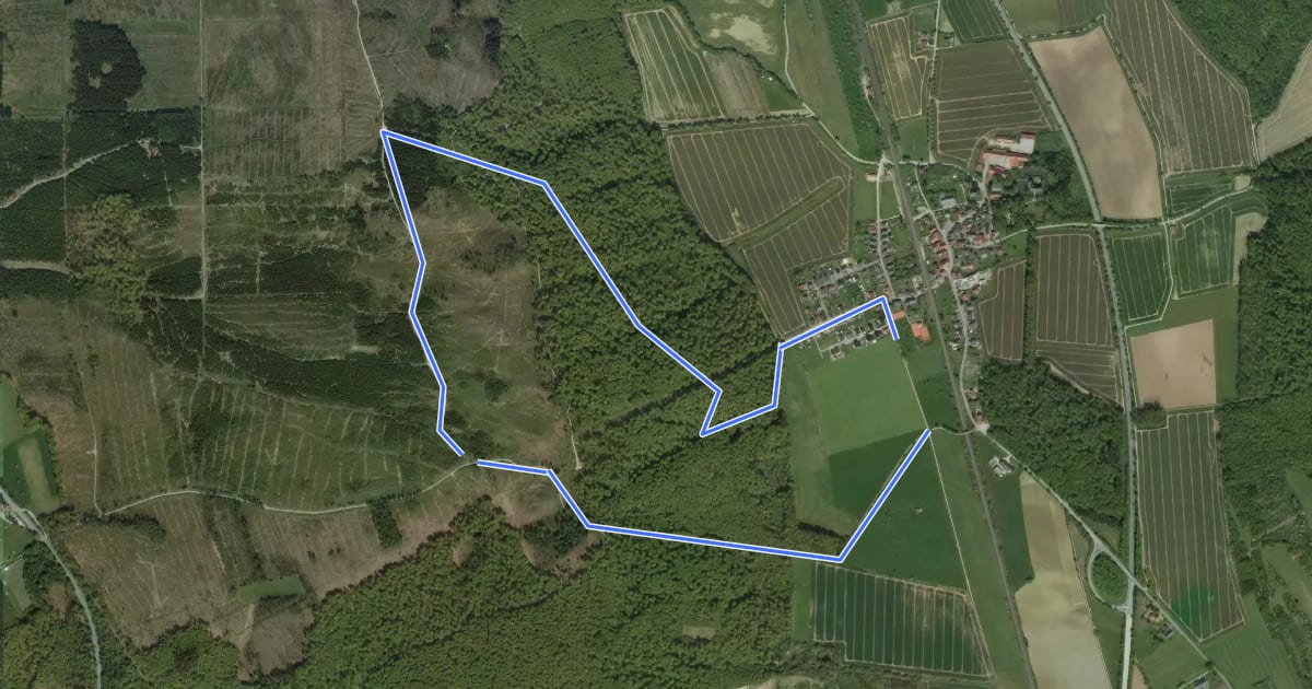 Маршрут Rundwanderweg Borlinghausen A2 (Willebadessen: Borlinghausen) на спутниковом снимке