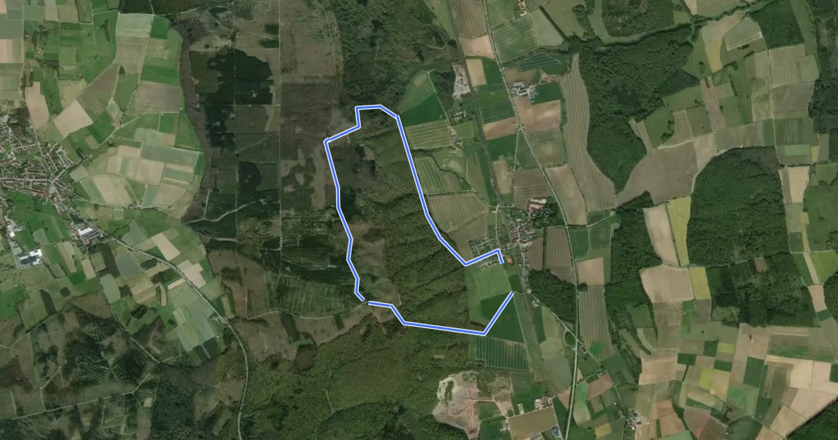 Маршрут Rundwanderweg Borlinghausen A3 (Willebadessen: Borlinghausen) на спутниковом снимке