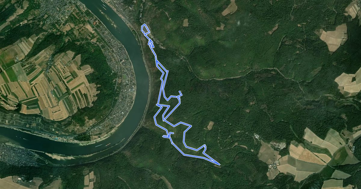 Маршрут Rundwanderweg Braubach: B7 Dinkholder Tal-Martinskapelle на спутниковом снимке