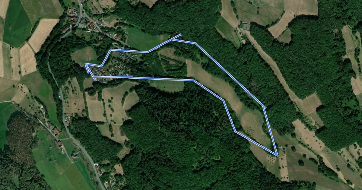 Маршрут Rundwanderweg Brensbach, Wildgehege 4: Wildpark-Weg на спутниковом снимке