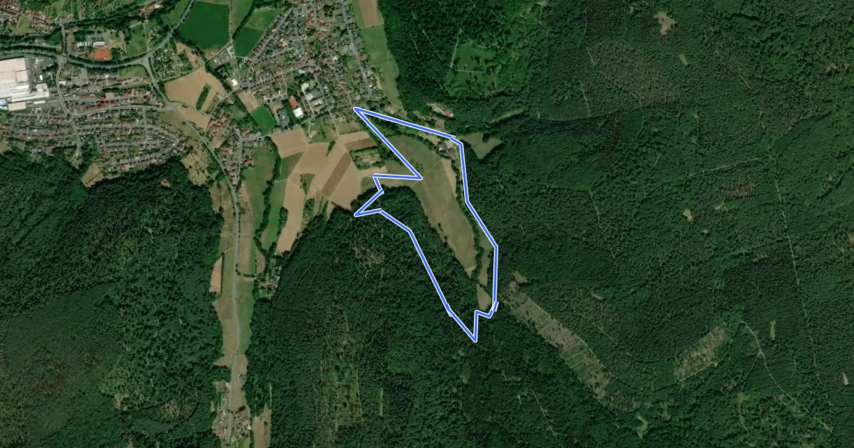 Маршрут Rundwanderweg Breuberg Pitschgrund 1: Pitschgrund-Weg на спутниковом снимке