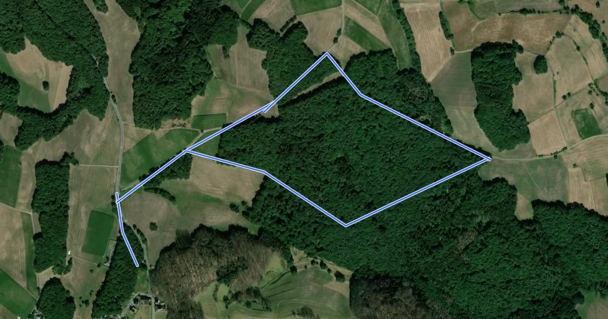 Маршрут Rundwanderweg Brombachtal Böllsteiner Höhe 1: Hochwallbacher-Weg на спутниковом снимке