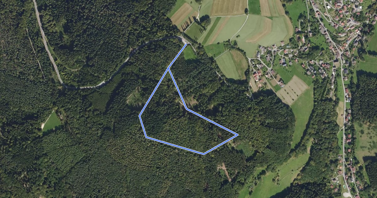 Маршрут Rundwanderweg Bußkopf 1: Bohrer-Weg на спутниковом снимке