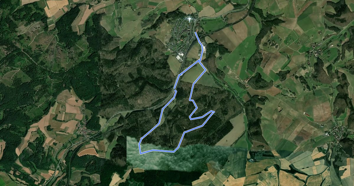 Маршрут Rundwanderweg Bubenbach C4 на спутниковом снимке
