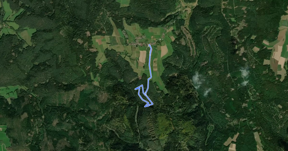 Маршрут Rundwanderweg Bullau 8 на спутниковом снимке