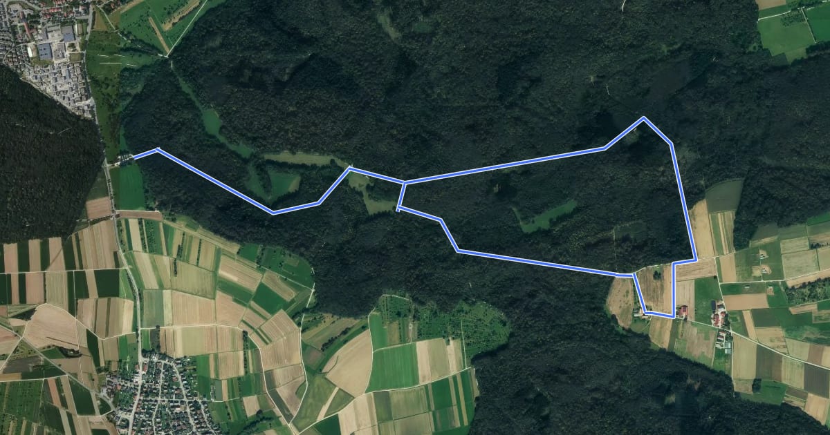 Маршрут Rundwanderweg C на спутниковом снимке