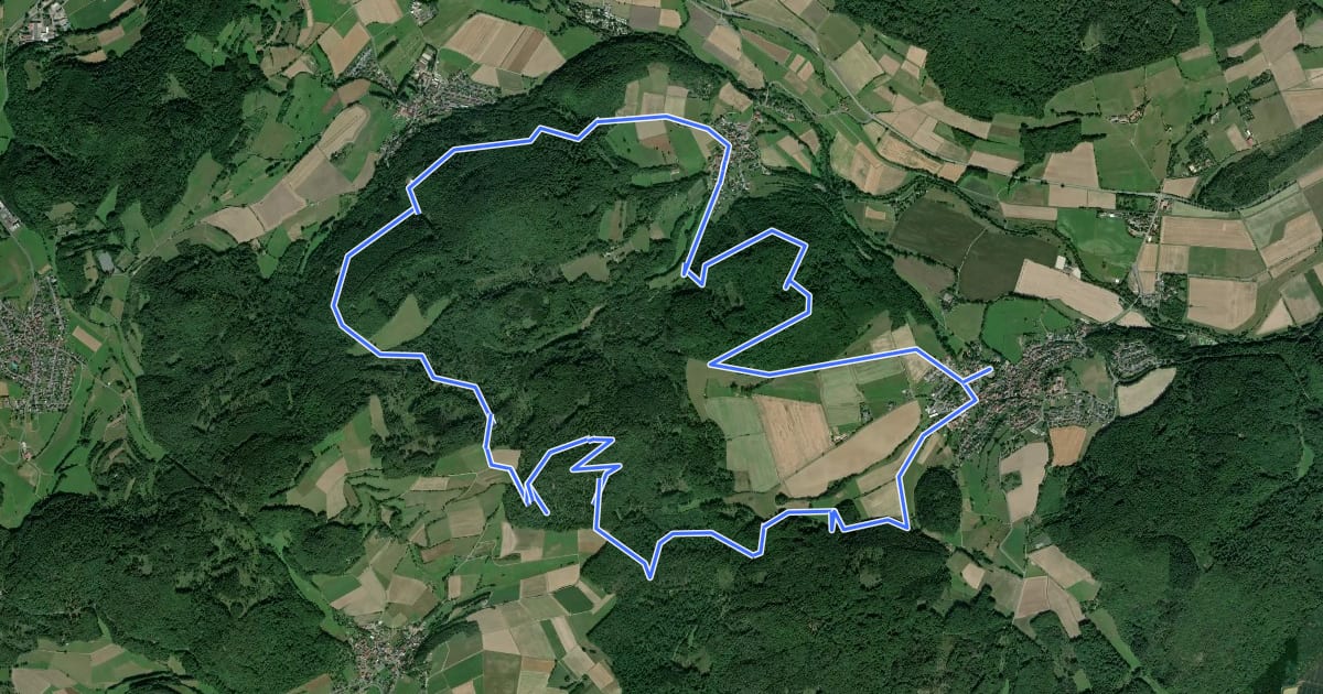 Маршрут Rundwanderweg Caldern - Kernbach - Caldern на спутниковом снимке