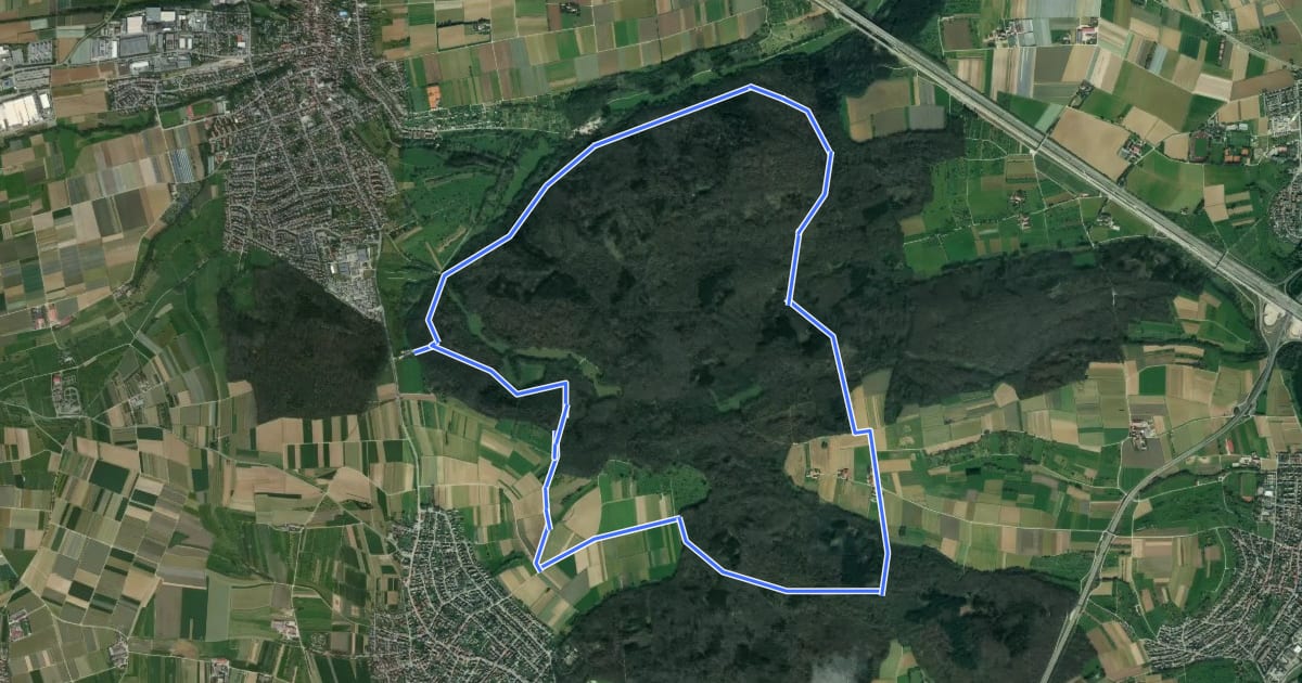Маршрут Rundwanderweg D на спутниковом снимке
