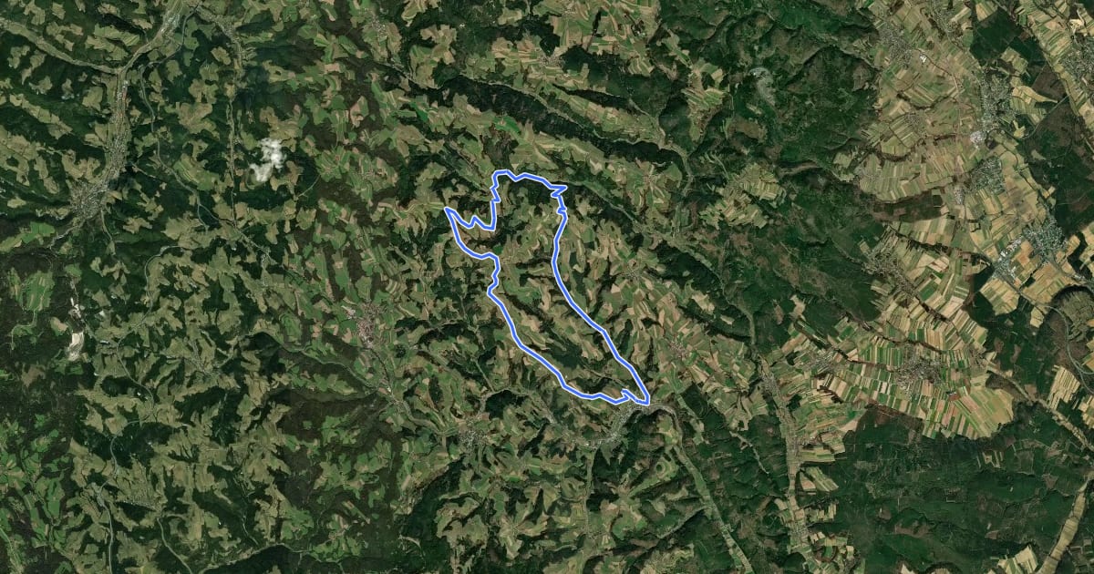 Маршрут Rundwanderweg D10: Teufelsteinweg (Kirchschlag in der Bucklingen Welt) на спутниковом снимке