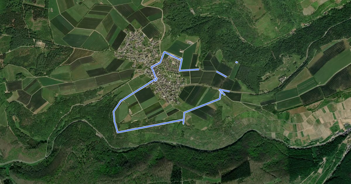Маршрут Rundwanderweg Damscheid / Zur Guckshöll на спутниковом снимке